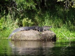 Was my spot to anchor on St. Johns River