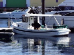 Tug in harbor