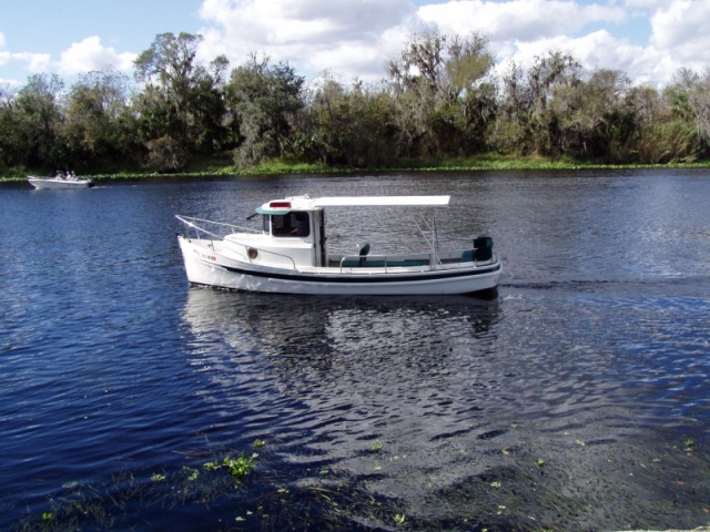 Cruising the St. Johns