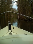 Feb. Canal Cruise