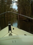 Feb. Canal Cruise