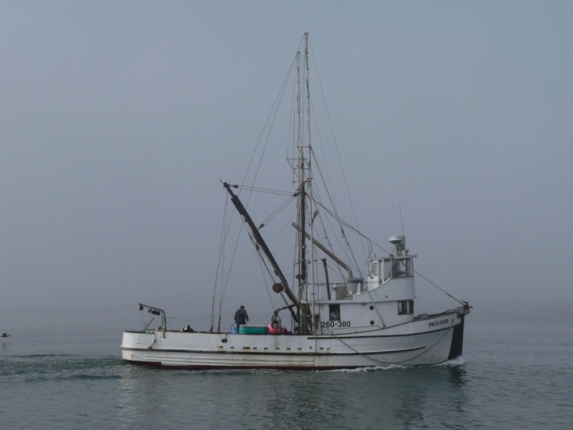 A foggy day at Bodega Bay California