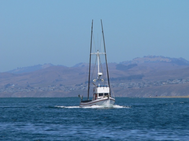 Being followed by a fishing vessel in Bodega Bay 