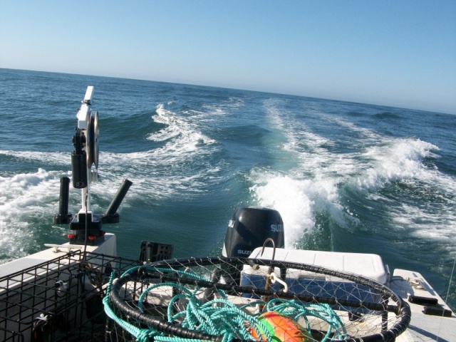 8 Miles out the Golden Gate