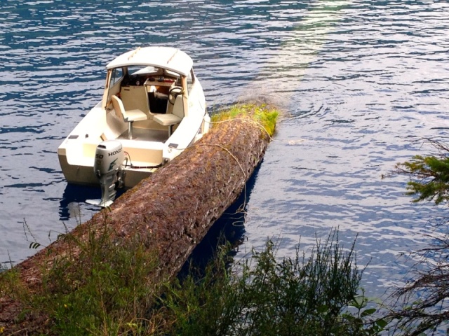 Lake Crescent, Olympic Peninsula