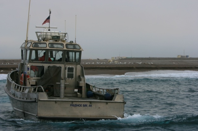 Buddy's work boat in Beaufort Sea, AK
Polar bear sow and cub on beach.