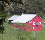 (Pat Anderson) - Landscape Study on Hike to Turn Point, Stuart Island