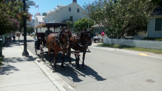 Horse Carriage