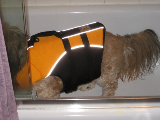 Maddie in her super-duper new PFD, in tub