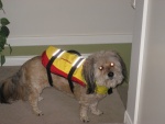 Everyone Needs Their Own PFD!