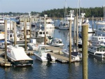 Three C-Dories in the Great Harbor Marina, Southwest Harbor, Mount Desert Island.