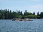 Vinalhaven - Jr Women's Club or an Elvis siting?