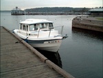 Coulon Park, Lake Washington.