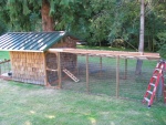 This was Mason's cabin when he was small, located down at the creek.  It's now our chicken coop. 2008