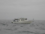 (Mason C. Bailey) Viking Lady, spotted fishing off of Neah Bay, I think this was May 18th, 2004.