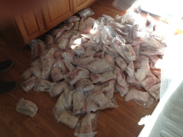 Packaged fish from Neah Bay trip