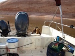 Briggs\'y trying to get back on the boat by himself