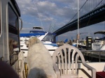 (Minnow) Philly Marine Center and the Ben Franklin Bridge