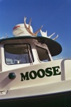 The MOOSE