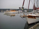 Wooden beauties in the bay. This bay is full of classics.