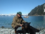Spring black bear - Prince William Sound, AK