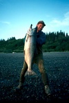 Late run king salmon - Anchor Point, AK