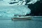 Nainu at Aialik Glacier, AK