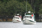 DogOnDory and 3rd Byte in Bass Harbor