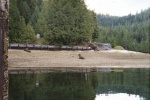 Clam shell beach at Marine Park, Echo Bay.jpg