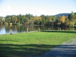 Fall colors at Osborne Bay. These are RV spaces at the water's edge.   