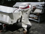 Evinrude ETEC 40 on Livingston 14