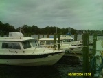 All lined up on Dock A.