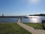 The marina on a sunny Friday