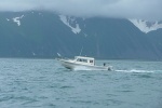 Resurrection Bay