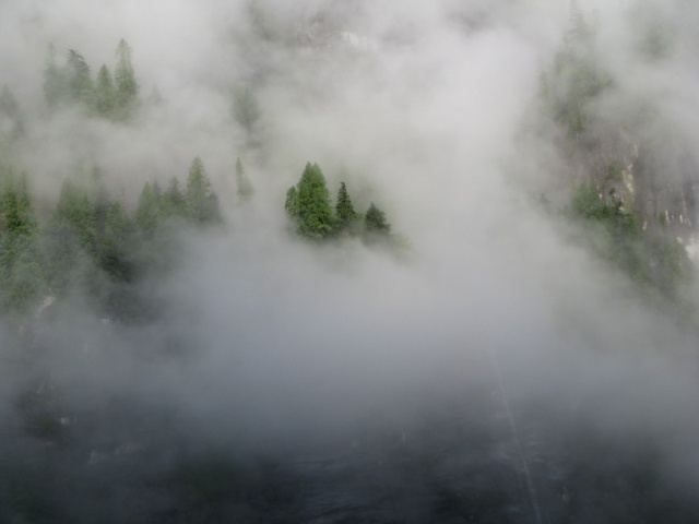 Mist, fog, clouds and trees all mixed together on the walls of Princes Louisa inlet.  PLI-08