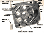 (Alma's Only) Impeller replacement 02