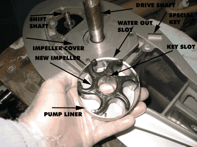 (Alma's Only) Impeller replacement 08