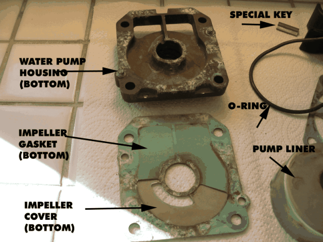 (Alma's Only) Impeller replacement 12