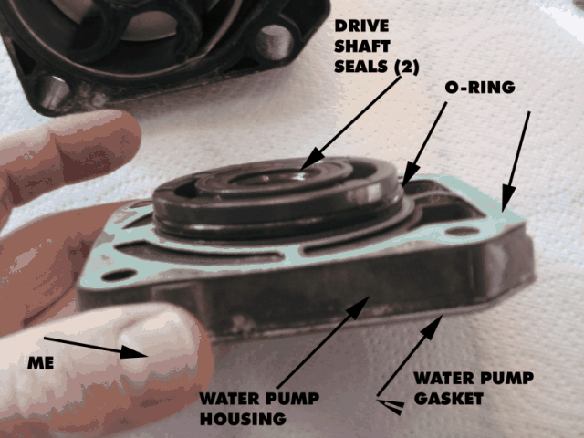 (Alma's Only) Impeller replacement 15