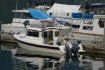 Highlight for Album: Princess Louisa Inlet 2025
