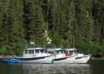 Highlight for Album: Prince William Sound, AK - July, 2006