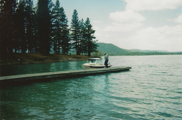 Palomino at Lake Davis spring 2006