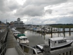 Smithfield Station marina [osprey]