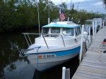 Papillon at Home Dock