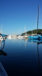 Moored in Friday Harbor Marina