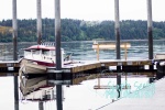 Narrows Marina