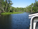 On the Oklawaha River, April, 2009