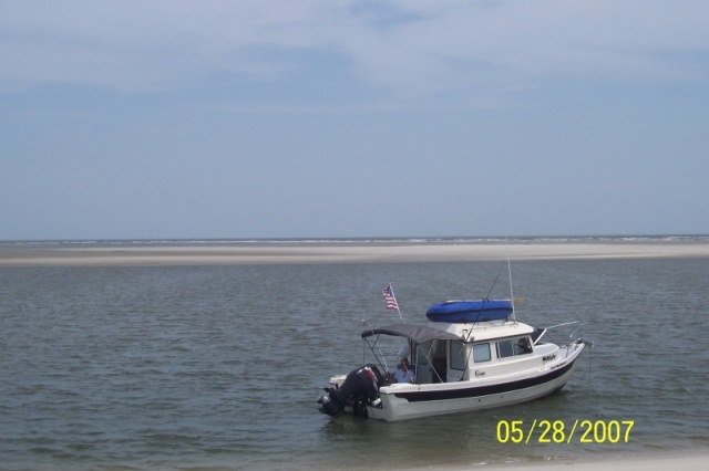 Blackbeard Island, Ga. Memorial Day 2007