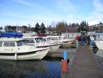 Highlight for Album: Poulsbo, WA - March, 2006