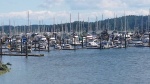 C-Dorys at Poulsbo Marina-Friday